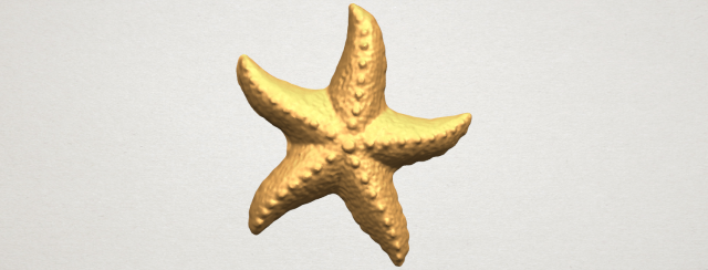 Starfish 03 3D Model