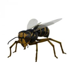 Wasp Rigged 3D Model