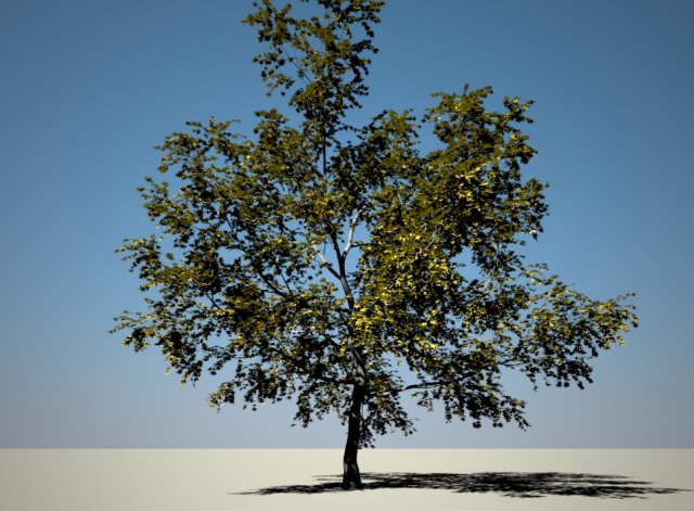 Tree-New Village 3D Model