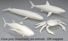Sea Animals – 4 pieces-low poly-part 6 3D Model