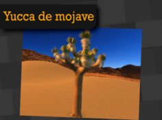 Yucca de mojave 3D Model