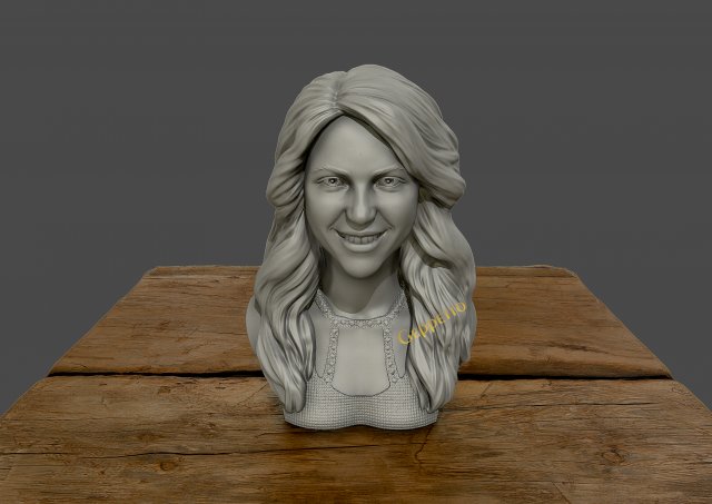 Shakira 3d bust 3D print model 3D Model