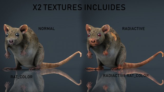 RADIACTIVE RAT 3D Model