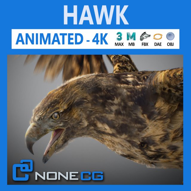 Animated Hawk 3D Model