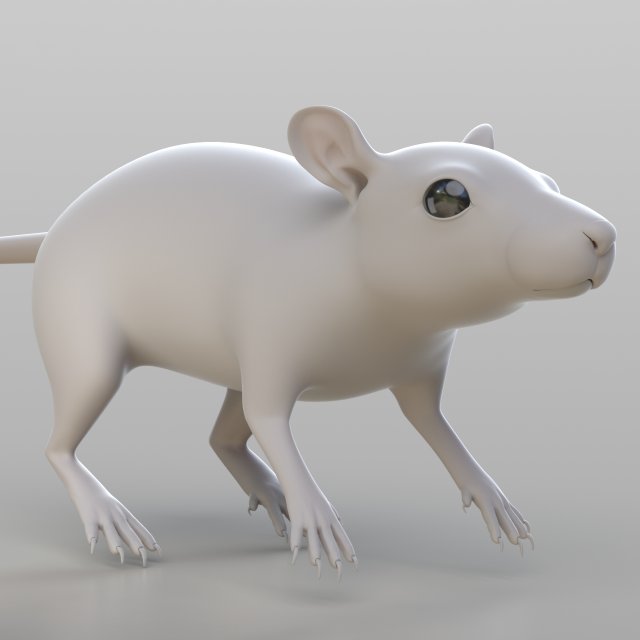 Realistic Rat 3D Model