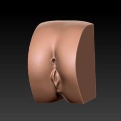 Realistic penetrable butt toy 3D Model