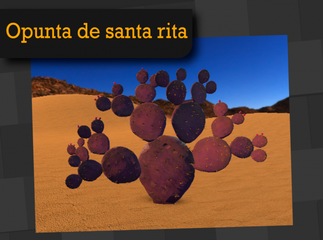 Opunta santa rita 3D Model