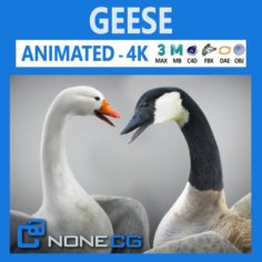 Animated Geese 3D Model