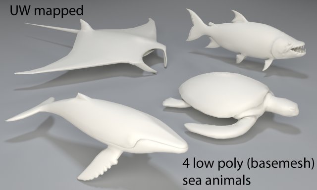 Sea Animals – 4 pieces-low poly-part 2 3D Model