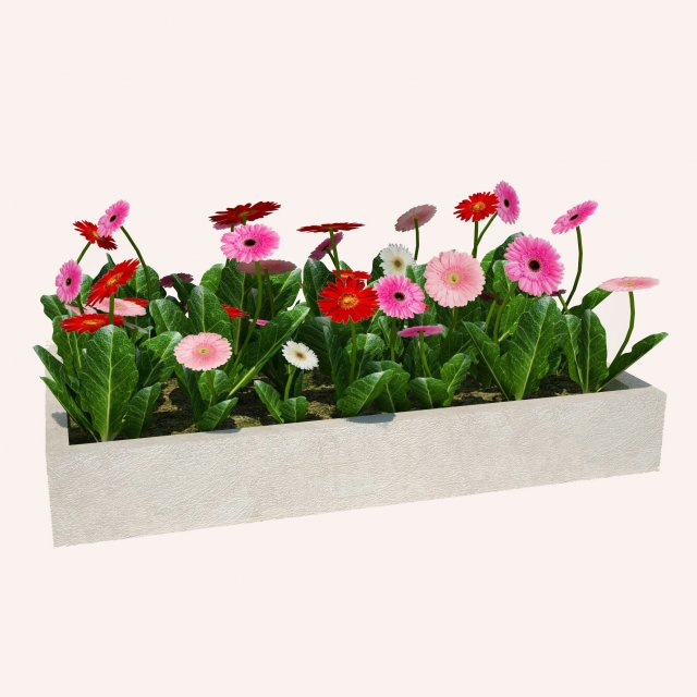 Decorative pot plant 3D Model