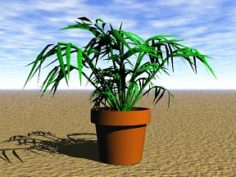 Plant 12 Free 3D Model