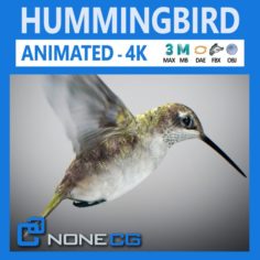 Animated Hummingbird 3D Model