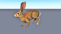 Animated running rabbit low poly 3D Model