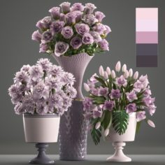 Bouquets of flowers in vases 3D Model