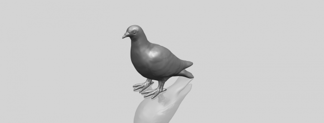 Sparrow 02 3D Model