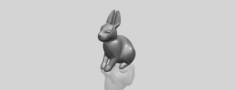 Rabbit 03 3D Model