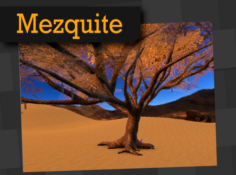 Mezquite 3D Model