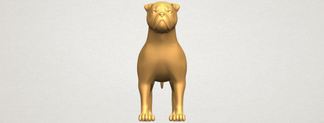 Bull Dog 05 3D Model
