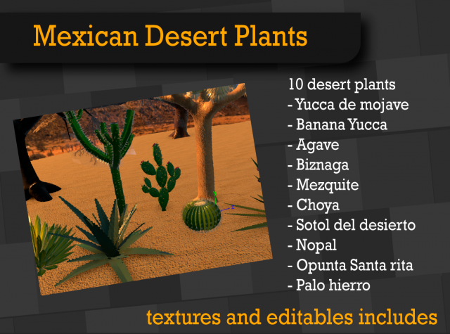 PlantasDeserticas 3D Model