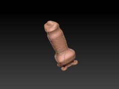 Dog penis sheath 3D Model