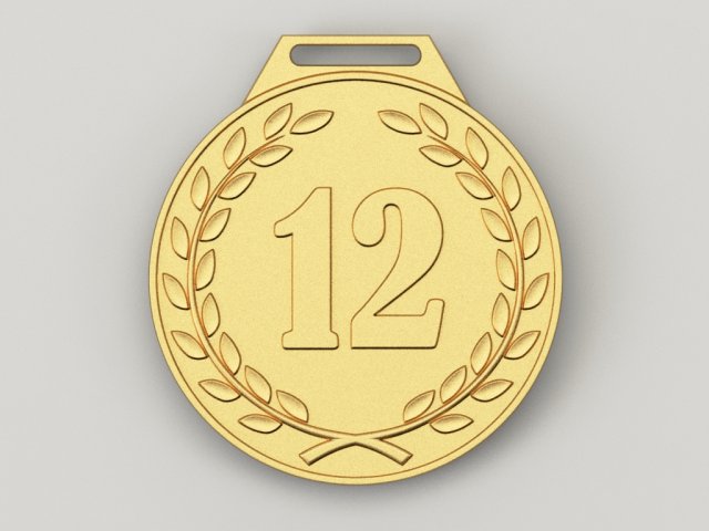 12 years anniversary medal 3D Model
