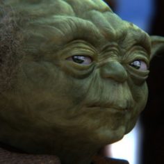 Yoda Rigging 3D Model