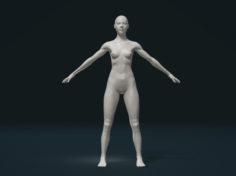 Naked Girl 3D Model