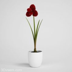 Red Flower in Flower Pot 3D Model