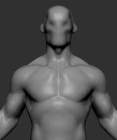 Stylized Body v3 3D Model
