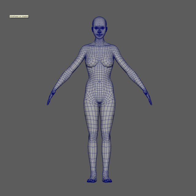 Female basemesh 3D Model