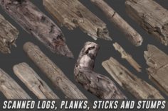 Scanned Logs Planks Sticks and Stumps 3D Model