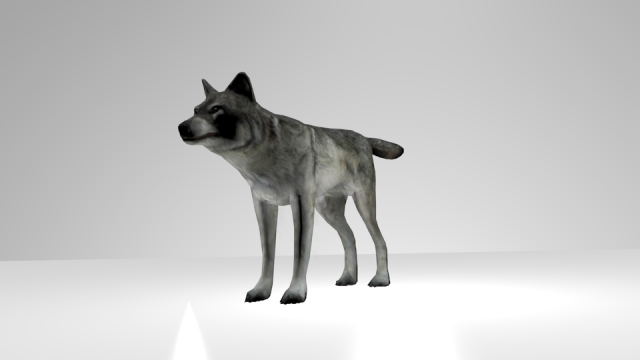 Wolf model 3d 3D Model