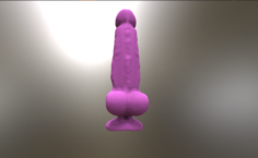 Organ Penis 3D Model