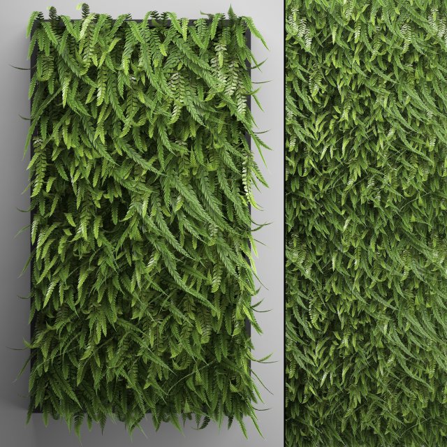 Vertical gardening Fern Wall 3D Model