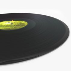 Vinyl 3D Model