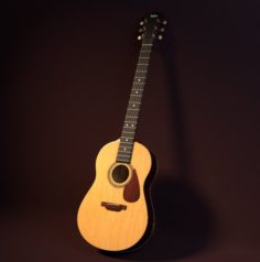 Taylor Guitar 3D Model