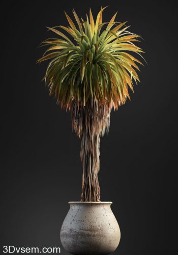 Palmtree 3D Model
