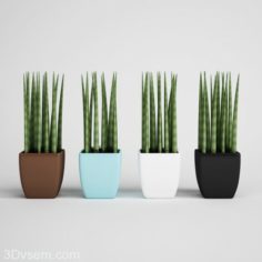 4 Colors Vase With FLowers 3D Model
