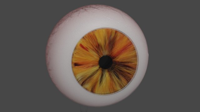 Eye brown 3D Model