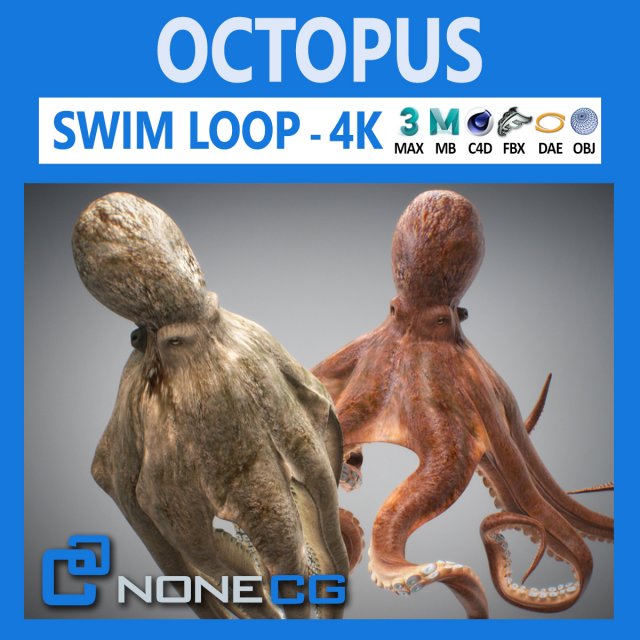 Animated Octopus 3D Model