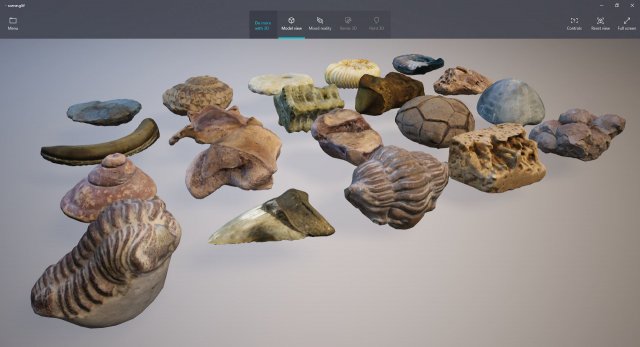 Fossils pack lowpoly 3D Model