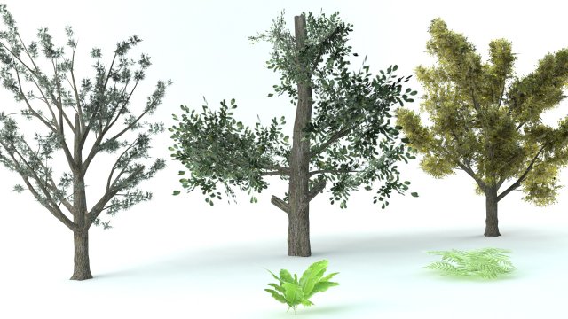 A set of vegetation 3D Model