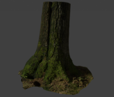 Tree Stam 3D Model