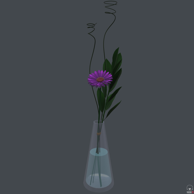 Gerbera daisy in vase 3D Model