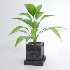 Plant 02 3D Model