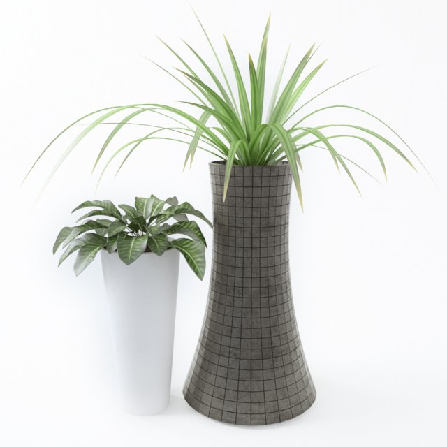 Plant 03 3D Model