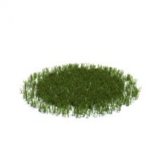Round Grass 3D Model