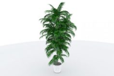 Big Fern With Flower Pot 3D Model