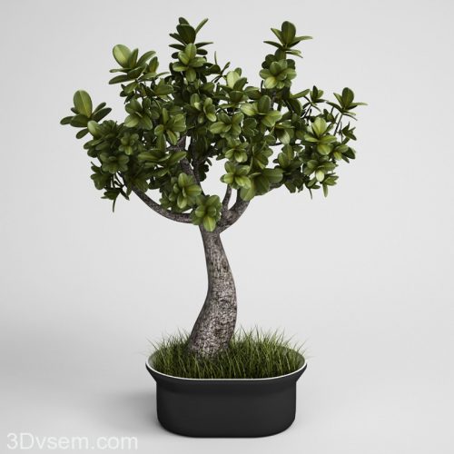 Tree with Flower Pot 3D