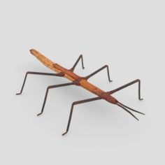 Stick Insect 3D Model